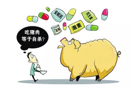 兽药残留检测仪