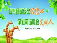 多参数食品安全检测仪守护百姓餐桌安全