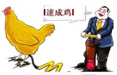 你知道吗？兽药滥用已成食品安全问题之一
