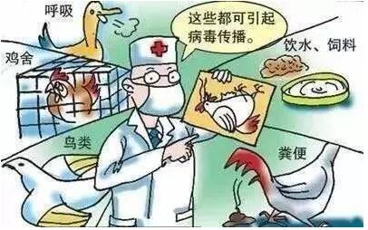 食品安全检测仪器