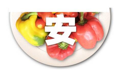 食品安全检测仪