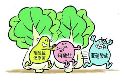 亚硝酸盐测定仪