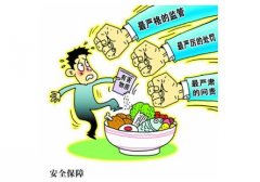 食品检测仪器告诉您食品安全的含义