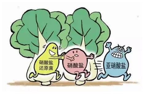 食品安全检测仪