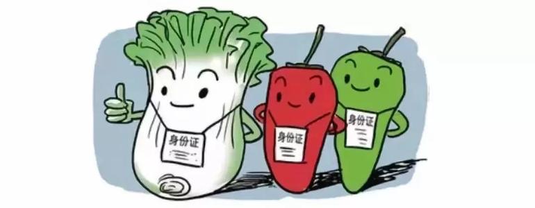 食品安全检测仪