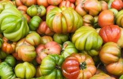 食品添加剂检测仪源头厂家很重要